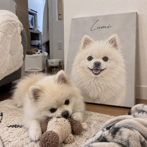 チョコ様のお客様レビュー写真