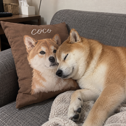 ココママ様のお客様レビュー写真